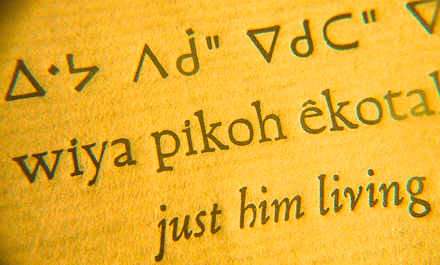 Le cri est une langue améridienne employant nativement un syllabaire autochtone, quoiqu'on puisse le “translittérer” vers l'alphabet latin.